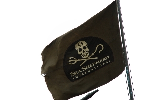 seashepherd